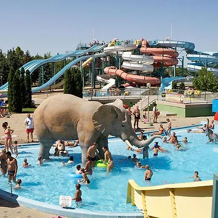 Manna Koelcsey * Hajdúszoboszló